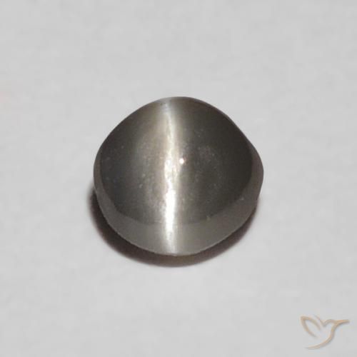0.16ct 天然 ミディアムグレー リソベリルキャッツアイ, 楕円形, オペーク