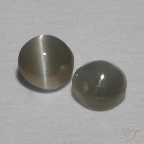 Shop natural 0.37ct 灰色がかった黒 リソベリルキャッツアイ gems, ラウンド, from スリランカ at GemSelect. In stock, global shipping!