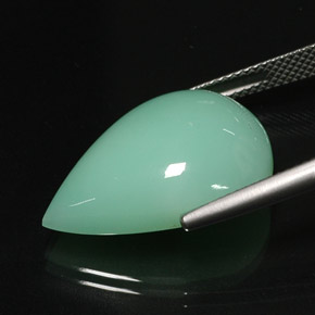 16.75カラットの天然グリーンクリソプレーズ（22.1×15.7 mm・透明）