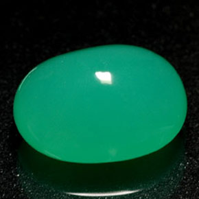 1.69カラットの天然グリーンクリソプレーズ（8.6×6.5 mm・透明）