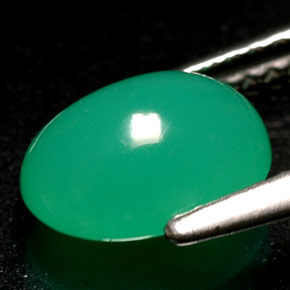 1.69カラットの天然グリーンクリソプレーズ（8.6×6.5 mm・透明）