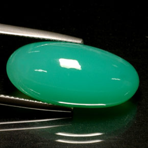 13.72カラットの天然グリーンクリソプレーズ（22.4×10.7 mm・透明）