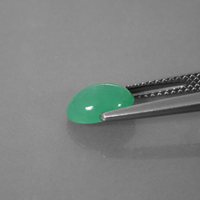 1.42カラットの天然グリーンクリソプレーズ（8.3×6.2 mm・透明）