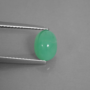 1.66カラットの天然グリーンクリソプレーズ（8.3×6.1 mm・透明）