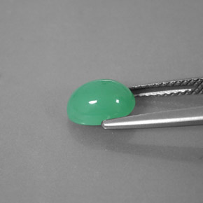 1.66カラットの天然グリーンクリソプレーズ（8.3×6.1 mm・透明）