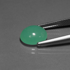 3.50カラットの天然グリーンクリソプレーズ（10.8×9.4 mm・透明）