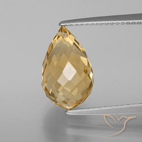 5.05ct 天然 ゴールド シトリン, ブリオレット, VVS-VS