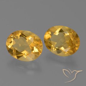 Shop natural 3.04ct ダークゴールデン シトリン gems, 楕円形, from ブラジル at GemSelect. In stock, global shipping!
