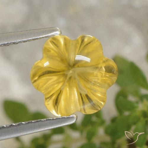 2.20ct 天然 トスカーナイエロー シトリン, フラワーカット, 透明
