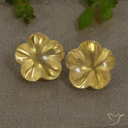 Shop natural 4.27ct 薄いゴールデンイエロー シトリン gems, フラワーカット, from ブラジル at GemSelect. In stock, global shipping!