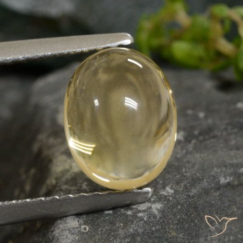 2.52ct 天然 薄いゴールド シトリン, 楕円形, 透明