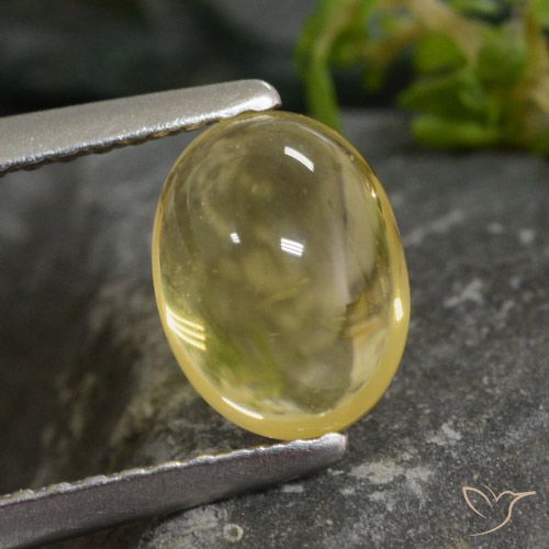 1.43ct 天然 薄いゴールド シトリン, 楕円形, 透明