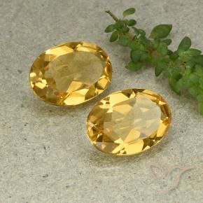 Shop natural 8.97ct ゴールドオレンジ シトリン gems, 楕円形, from ブラジル at GemSelect. In stock, global shipping!