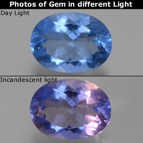 8.64カラットの天然ダークブルー色が変わるフローライト、オーバルカット、VVS-VS