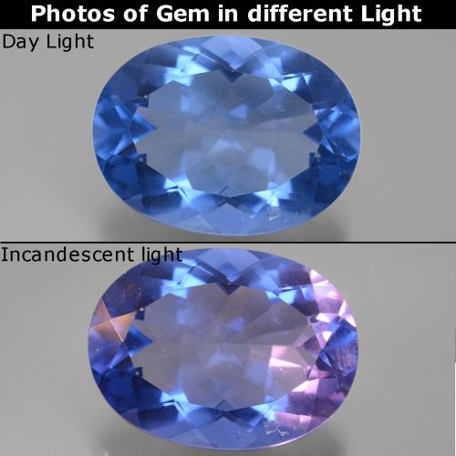 20.94カラットの天然ネイビーブルー色が変わるフローライト、オーバルカット、VS