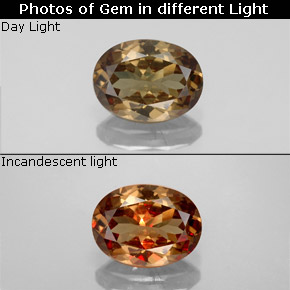 1.55カラットの天然ゴールドブラウンからオレンジカラーチェンジガーネット、オーバルカット、VS