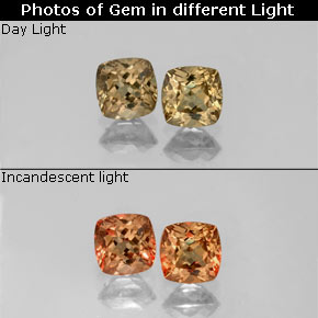 自然派の商品を探す ct ゴールドブラウンからオレンジ カラーチェンジガーネット 宝石, クッションカット, マダガスカル からGemSelectで. 在庫あり、世界各国へ発送!