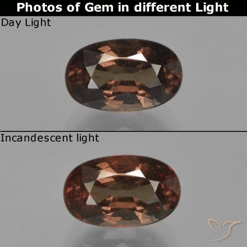2.64ct 天然 ミディアムブラウン カラーチェンジガーネット, 楕円形, VS