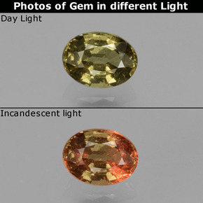 0.50カラットの天然グリーンがかったゴールデンブラウンカラーチェンジガーネット、オーバルカット、VS