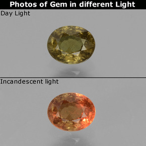 0.55カラットの天然ミディアムダークブラウンカラーチェンジガーネット、オーバルカット、VS