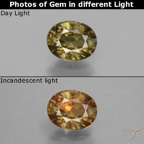 0.74ct 天然 ヒッコリーブラウン カラーチェンジガーネット