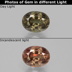 0.98カラットの天然ダークブラウンカラーチェンジガーネット、オーバルカット、VS