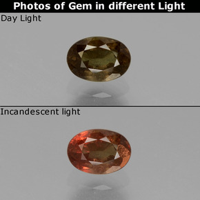 0.74カラットの天然グリーンからレッドピンクカラーチェンジガーネット、オーバルカット、VS