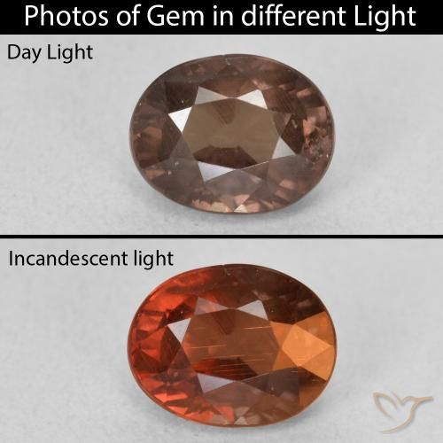 1.65ct 天然 ミディアムライトブラウン カラーチェンジガーネット, 楕円形, VS