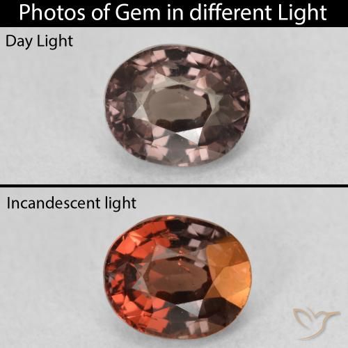 1.36ct 天然 ダークブラウン カラーチェンジガーネット, 楕円形, VS