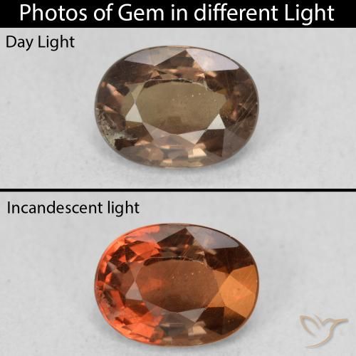 1.16ct 天然 ダークブラウン カラーチェンジガーネット, 楕円形, VS