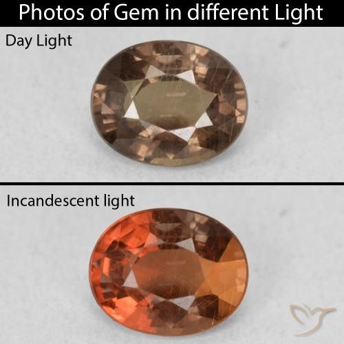 1.01ct 天然 ダークブラウン カラーチェンジガーネット, 楕円形, VS
