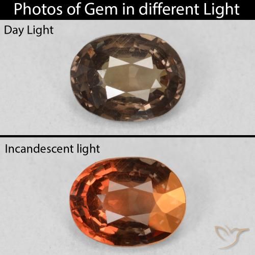 1.26ct 天然 ダークブラウン カラーチェンジガーネット, 楕円形, VS
