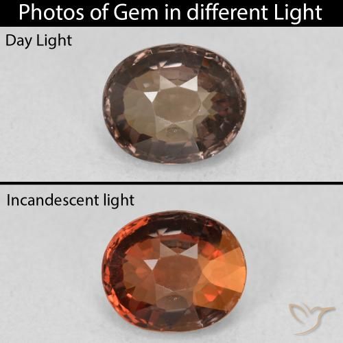 1.39ct 天然 ミディアムブラウン カラーチェンジガーネット, 楕円形, VVS