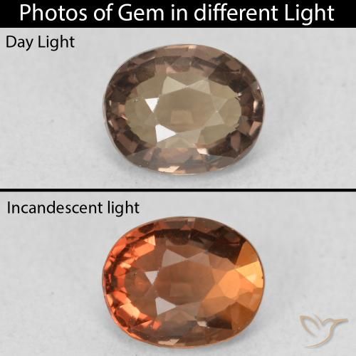 1.03ct 天然 ミディアムブラウン カラーチェンジガーネット, 楕円形, VVS