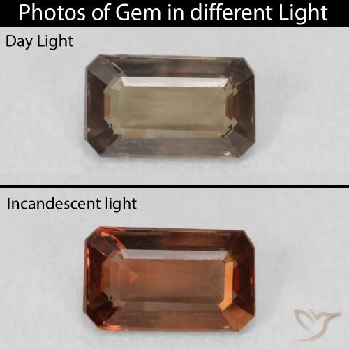 1.02ct 天然 Medium Dark-Brown カラーチェンジガーネット, エメラルドカット, VS