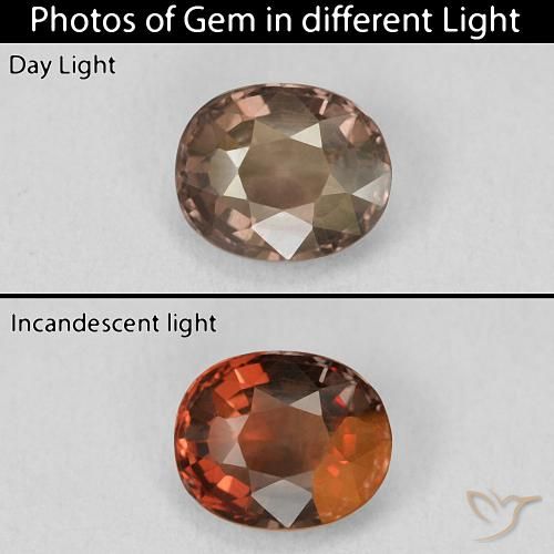 1.46ct 天然 ペカンブラウン カラーチェンジガーネット, クッション, VVS-VS