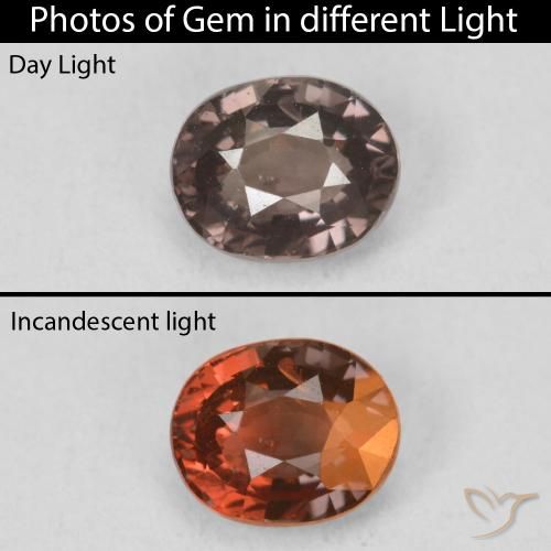 1.17ct 天然 ミディアムライトブラウン カラーチェンジガーネット, 楕円形, VS