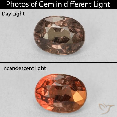 0.96ct 天然 ダークブラウン カラーチェンジガーネット, 楕円形, VS
