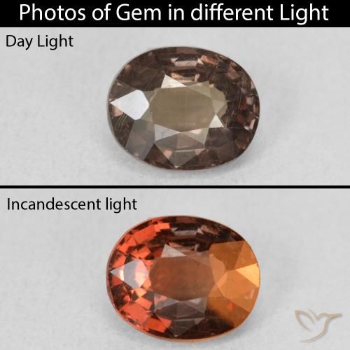 1.28ct 天然 ダークブラウン カラーチェンジガーネット, 楕円形, VS