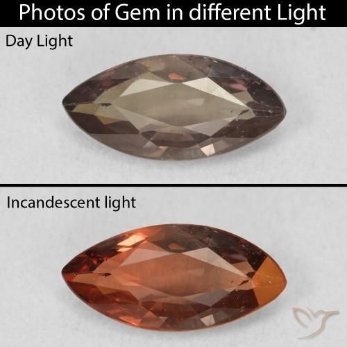 1.03ct 天然 ダークブラウン カラーチェンジガーネット, マーキーズ, VVS-VS