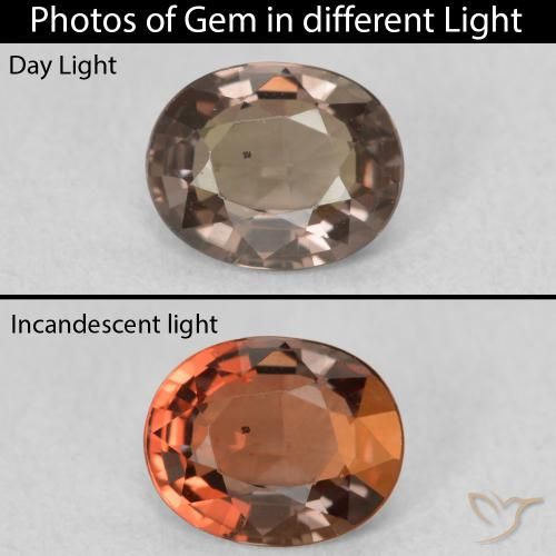 1.02ct 天然 ダークブラウン カラーチェンジガーネット, 楕円形, VVS-VS