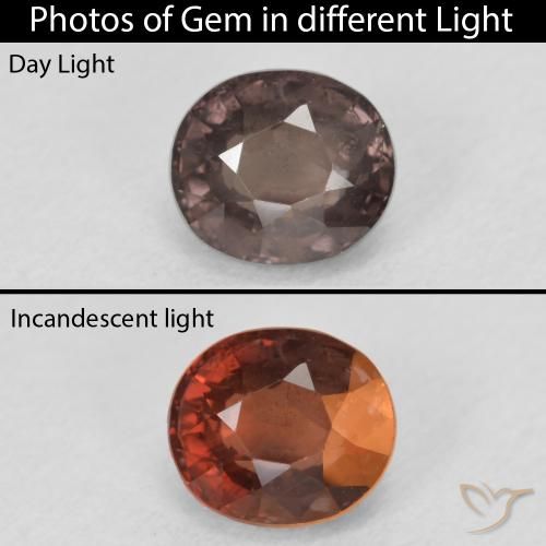 1.50ct 天然 ミディアムライトブラウン カラーチェンジガーネット, 楕円形, VS