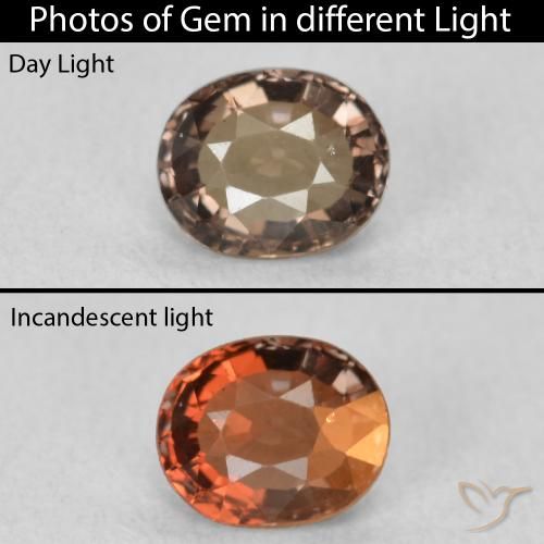 0.80ct 天然 ダークブラウン カラーチェンジガーネット, 楕円形, VVS