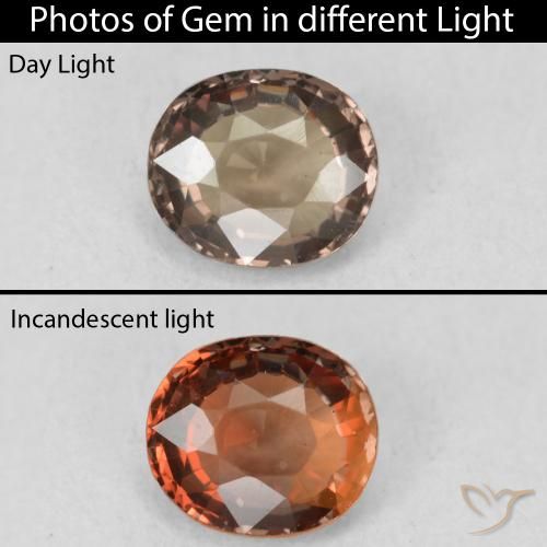 1.16ct 天然 ダークブラウン カラーチェンジガーネット, 楕円形, VVS