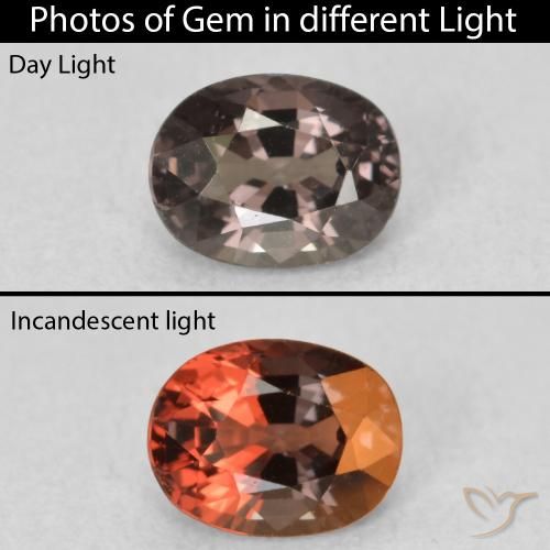 0.92ct 天然 ペカンブラウン カラーチェンジガーネット, 楕円形, VVS