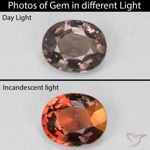 1.03ct 天然 ヒッコリーブラウン カラーチェンジガーネット, 楕円形, VVS