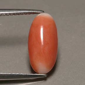 2.23カラットの天然バイカラーサンゴ（13.7×6.6 mm・オーバルカット）