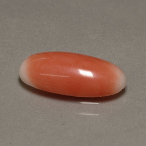 2.23カラットの天然バイカラーサンゴ（13.7×6.6 mm・オーバルカット）