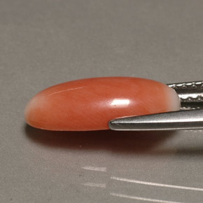 2.23カラットの天然バイカラーサンゴ（13.7×6.6 mm・オーバルカット）