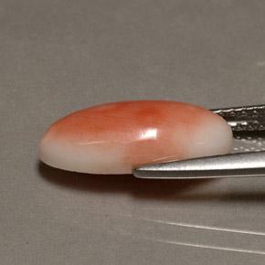 3.10カラットの天然ホワイトサーモンサンゴ（14.3×7 mm・オーバルカット）